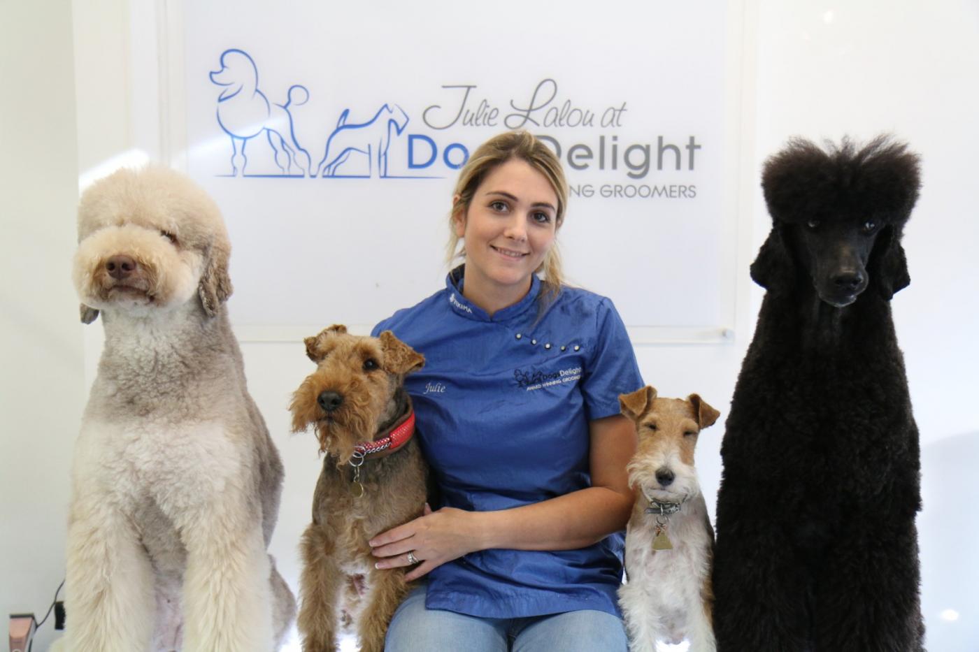 Dog Grooming Courses